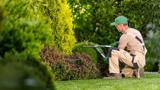 A man crouched working on a bush.